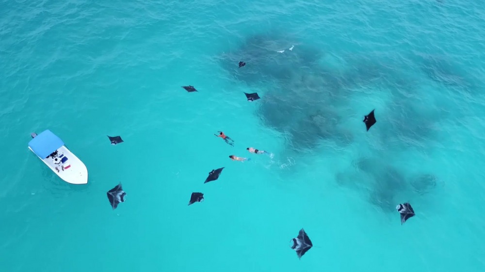 Екскурзии и почивки до Baa Atoll Biosphere Reserve