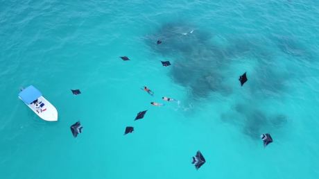 Baa Atoll Biosphere Reserve