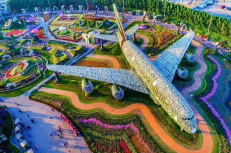 Miracle Garden