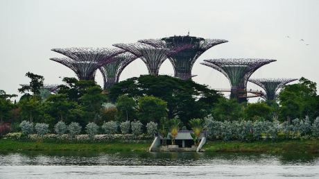 Сингапур - Gardens by the Bay – футуристичната градина на Сингапур