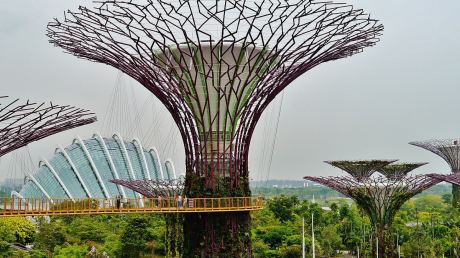 Сингапур - Supertree Grove – футуристичните вертикални градини на Сингапурнгапур